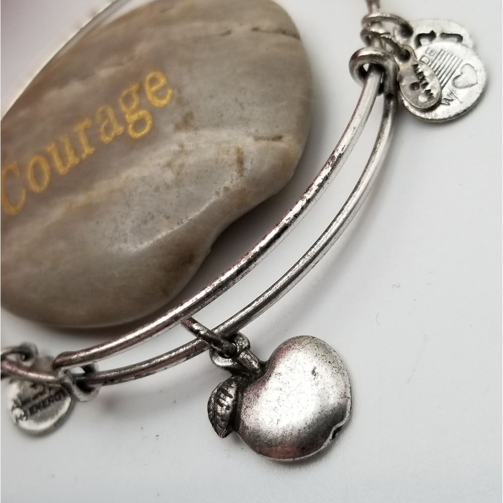 Alex and ani Apple of my eye silver tone bracelet energizer. B640